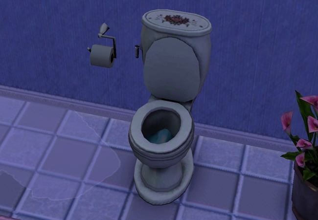 Banheiro vaso sanitario